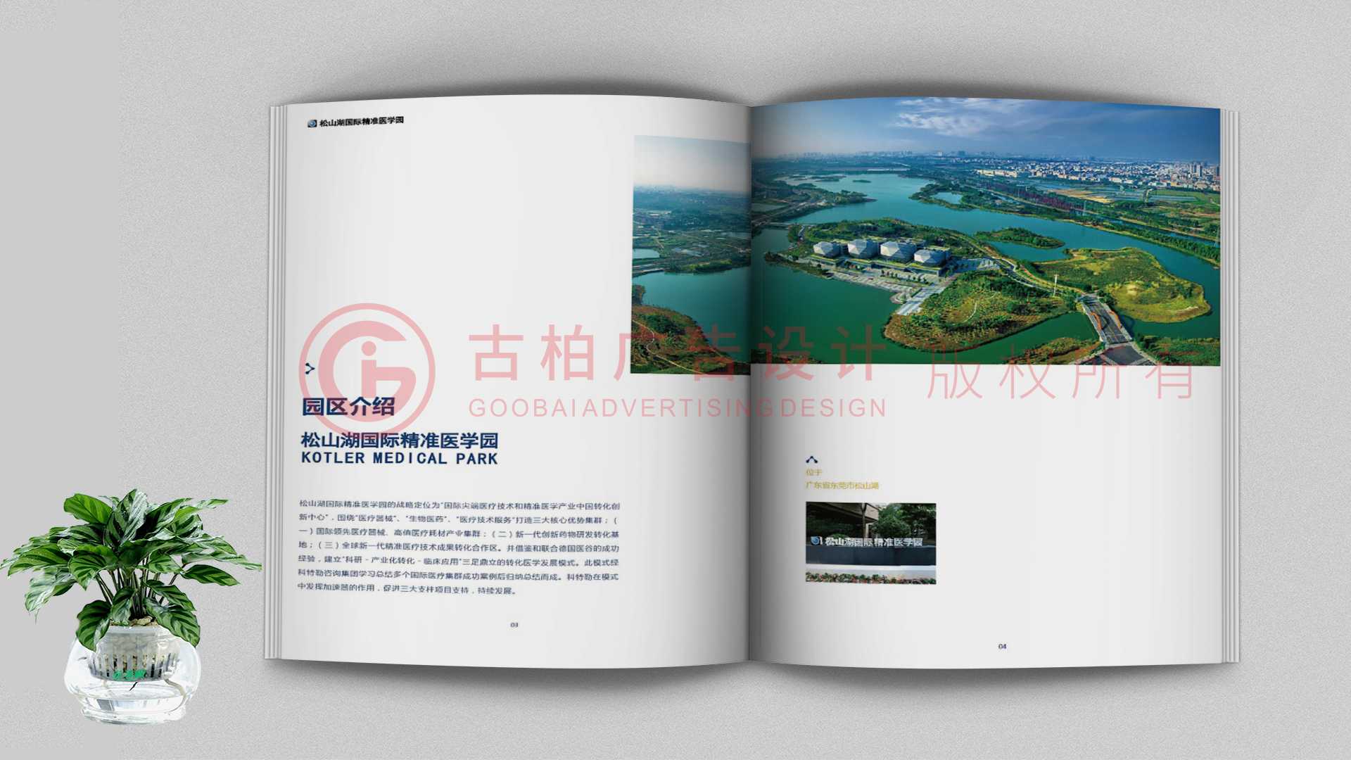 一本聚會紀(jì)念冊該如何通過排版來提升整體的美觀性？