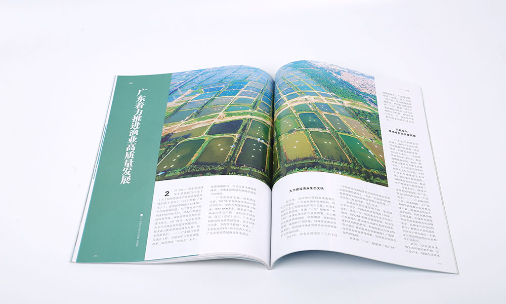 樣本宣傳冊設(shè)計制作多大尺寸？