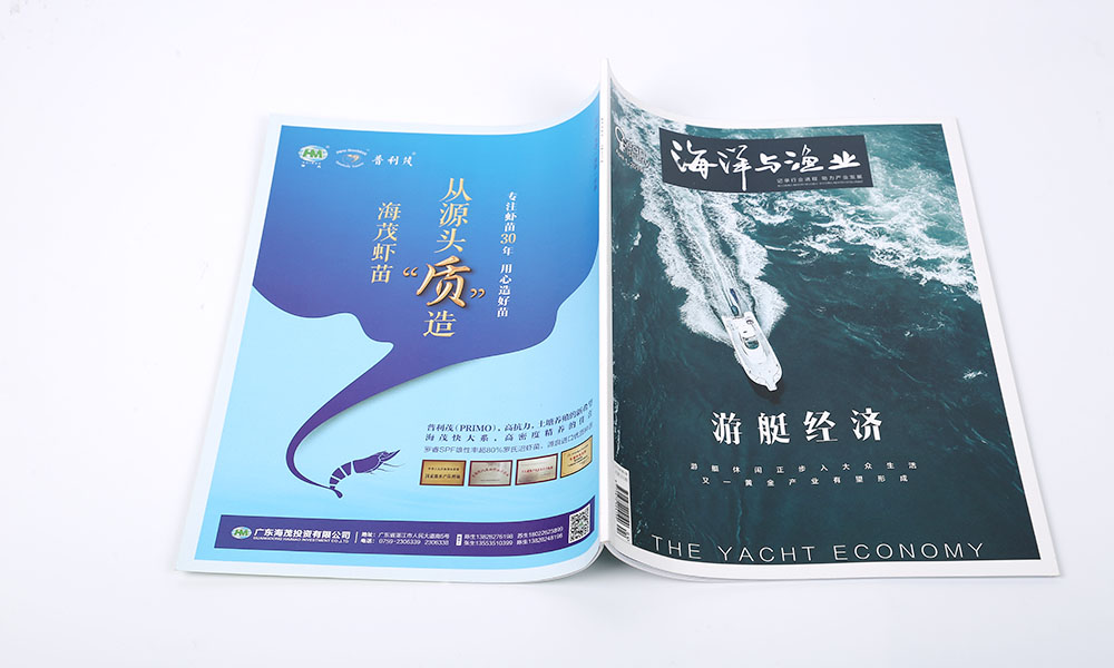 做一份宣傳冊費(fèi)用怎么樣？